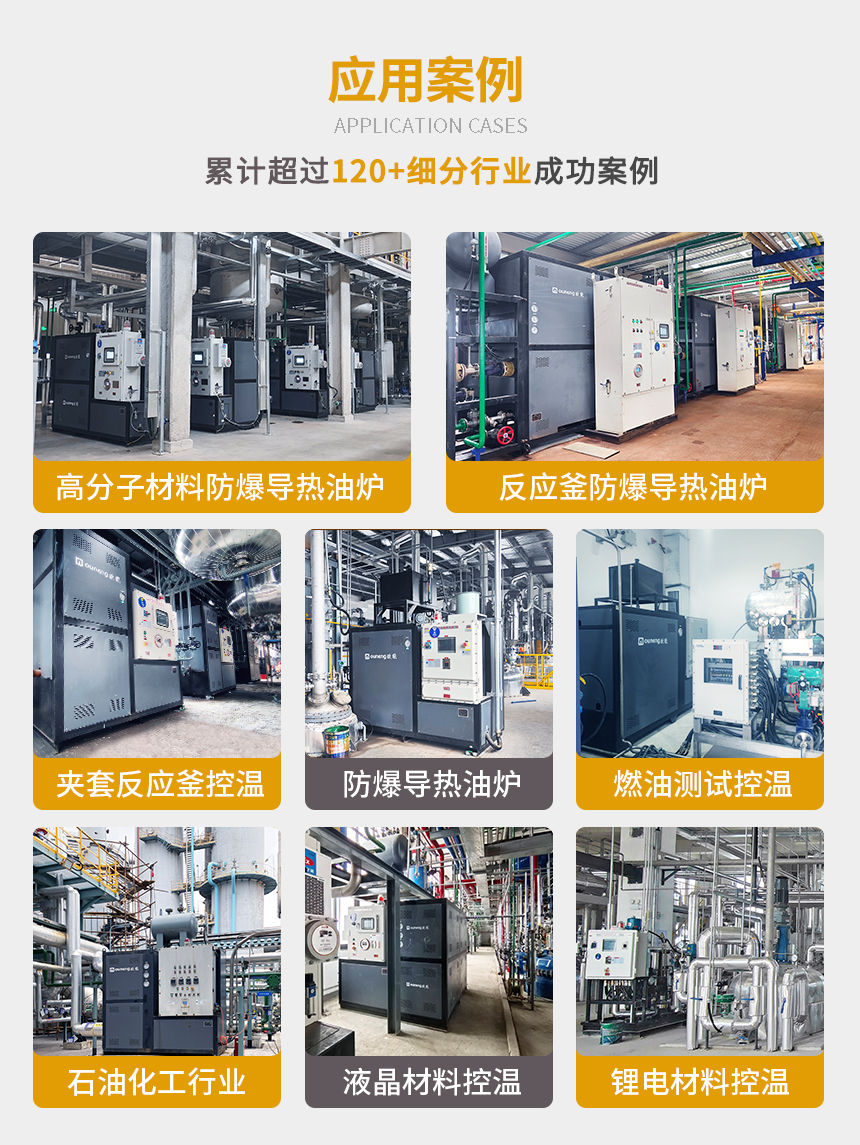石化專用防爆導熱油爐案例